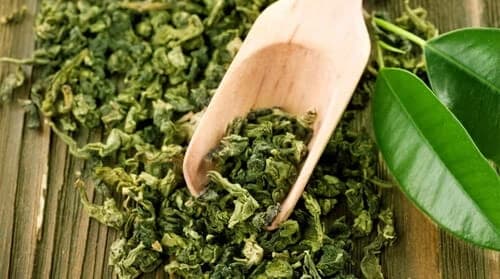 Green Tea Extract
